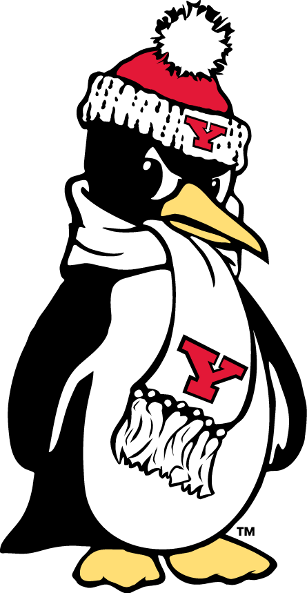 Youngstown State Penguins 1993-Pres Alternate Logo v7 diy DTF decal sticker...